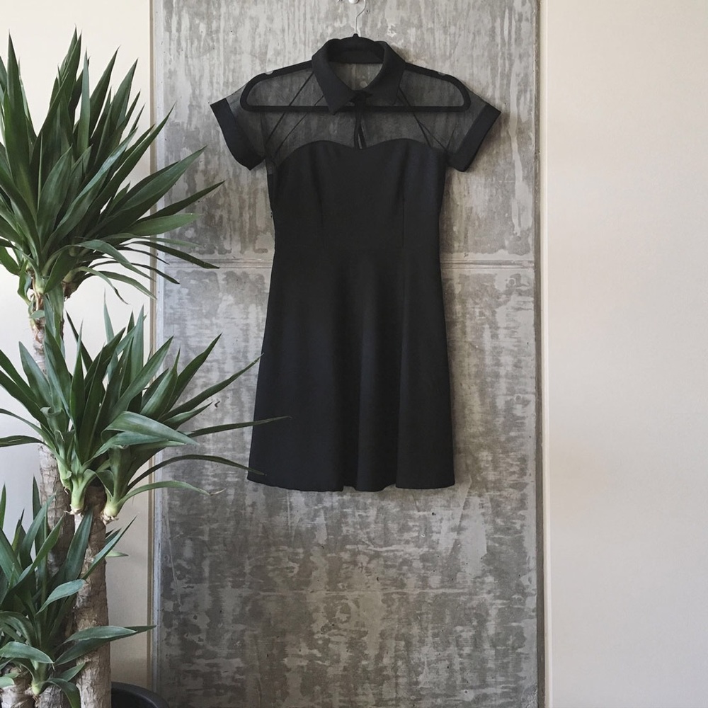 Collared Black Mesh Skater Dress